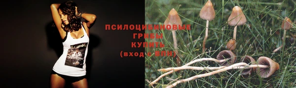 кристаллы Алзамай