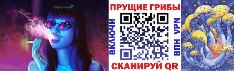 Псилоцибиновые грибы Psilocybe  это клад  OMG   Салехард  продажа наркотиков 